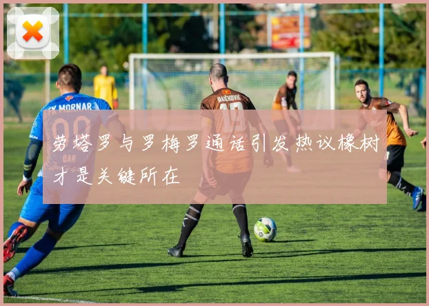 劳塔罗与罗梅罗通话引发热议橡树才是关键所在